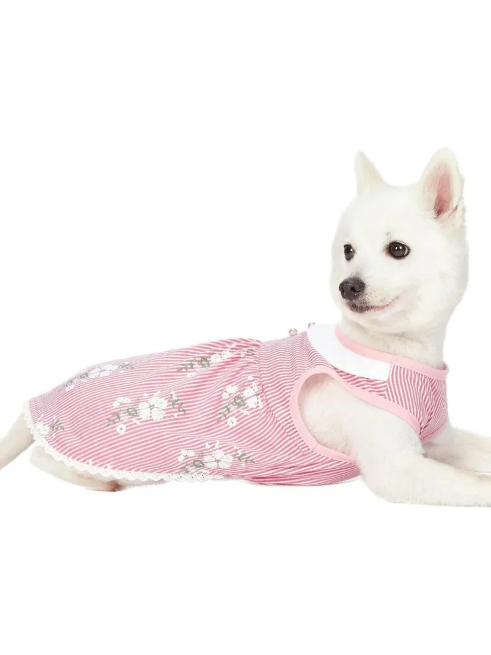 Floral Pink Stripe Dog Dress with Peter Pan Collar, 16